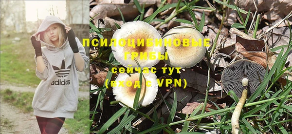 не бодяженный Козловка
