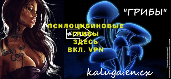 эйфоретик Козельск