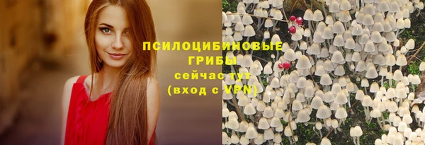 не бодяженный Козловка