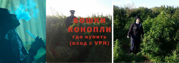 гидропоника Кодинск