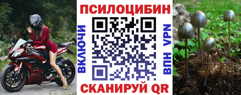 Галлюциногенные грибы MAGIC MUSHROOMS  Купить  Старая Русса 